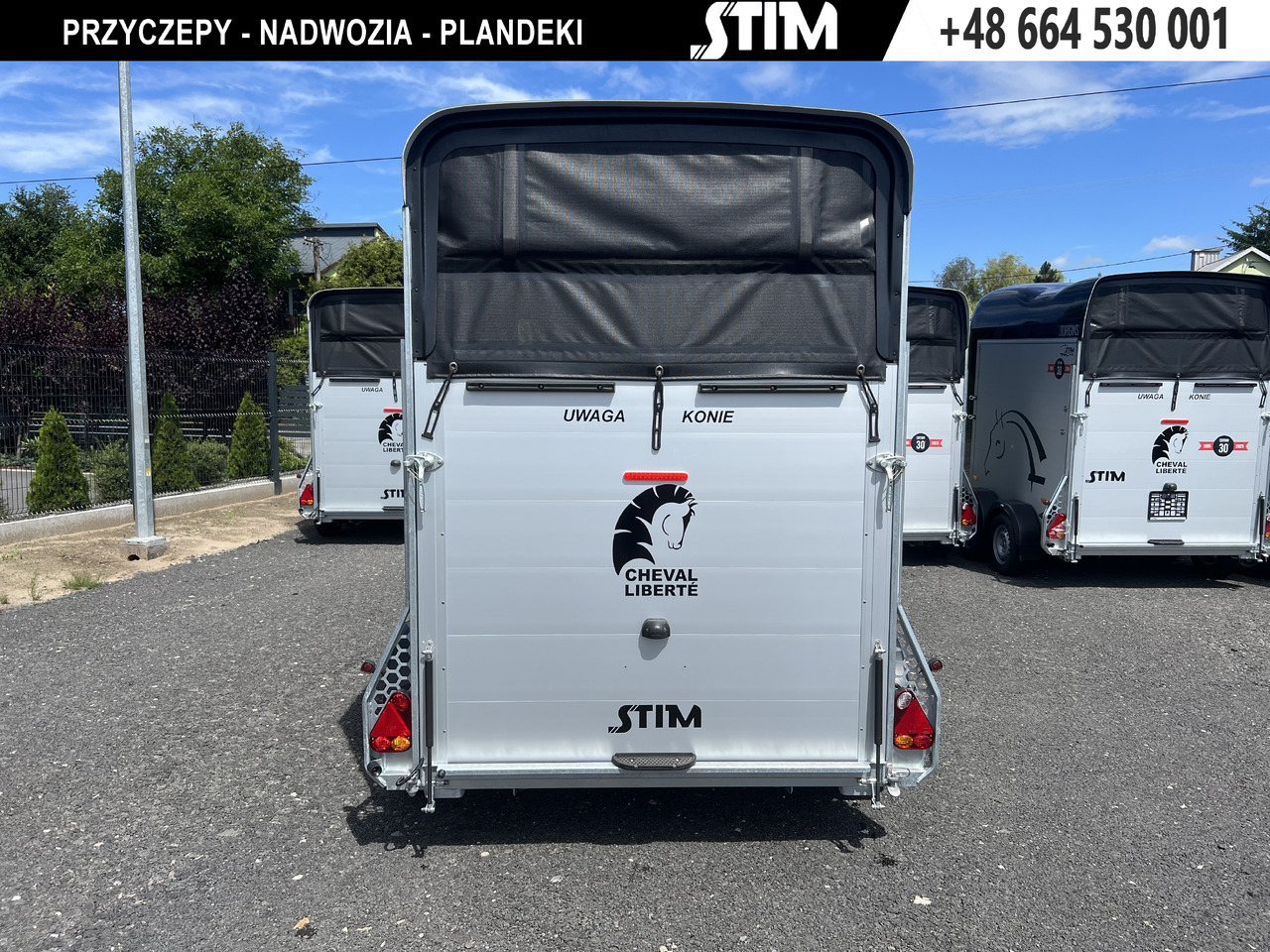 CHEVAL LIBERTÉ Touring Country - Van chevaux: photos 3 CHEVAL LIBERTÉ Touring Country - Van chevaux: photos 3