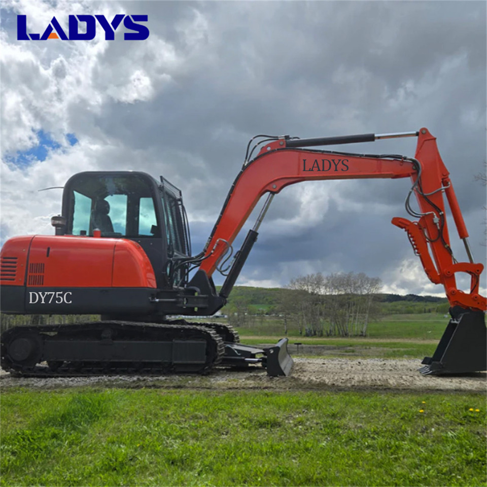 LADYS DY75C Small Excavator Euro 5/Epa Yanmar Engine Small Excavator Crawler Excavator For Sale - Pelle sur chenille: photos 1 LADYS DY75C Small Excavator Euro 5/Epa Yanmar Engine Small Excavator Crawler Excavator For Sale - Pelle sur chenille: photos 1