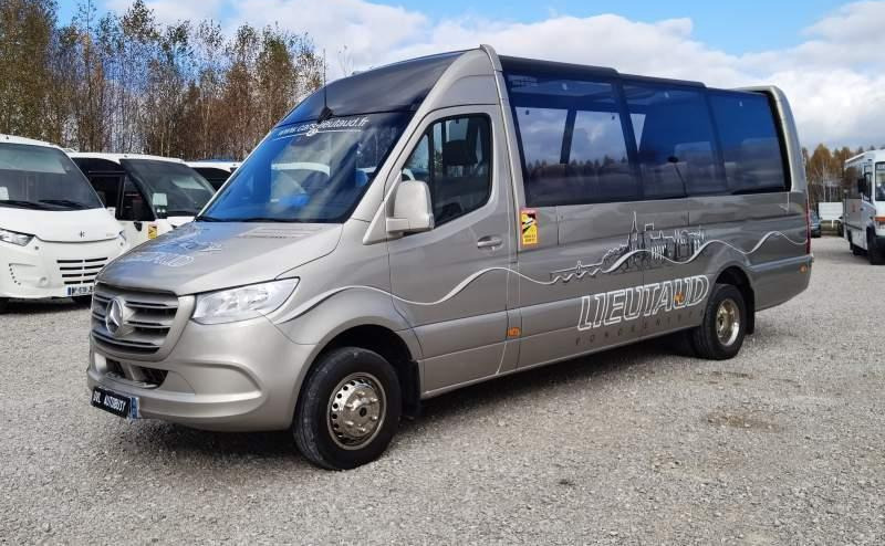 Autocar Mercedes-Benz Sprinter 519 3.0 CDI V6 *CABRIO*2x klima*40tys km: photos 8