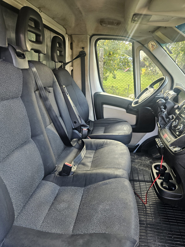 Fiat Ducato 10 Europallets - Véhicule utilitaire plateau baché: photos 4 Fiat Ducato 10 Europallets - Véhicule utilitaire plateau baché: photos 4