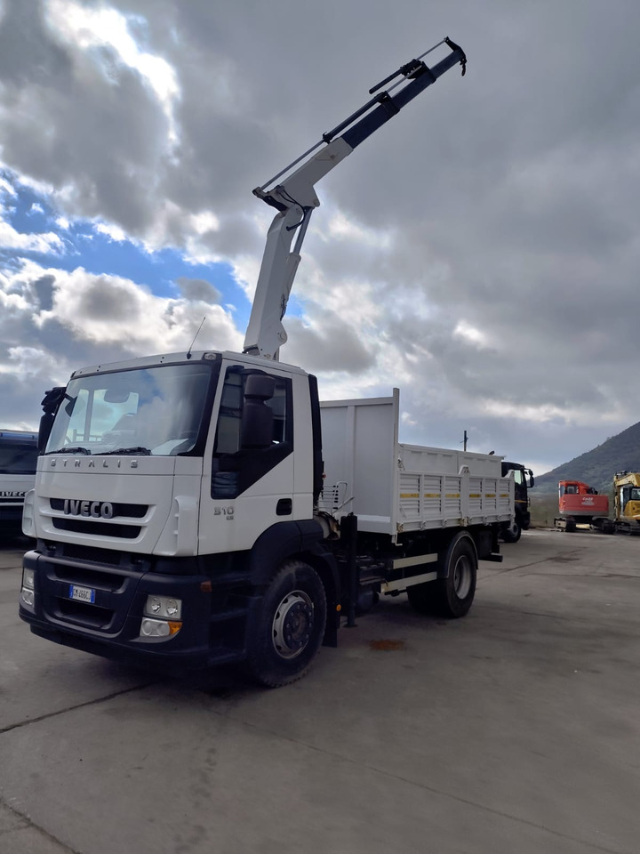 Camion grue, Camion benne IVECO STRALIS AD 190S31P: photos 40
