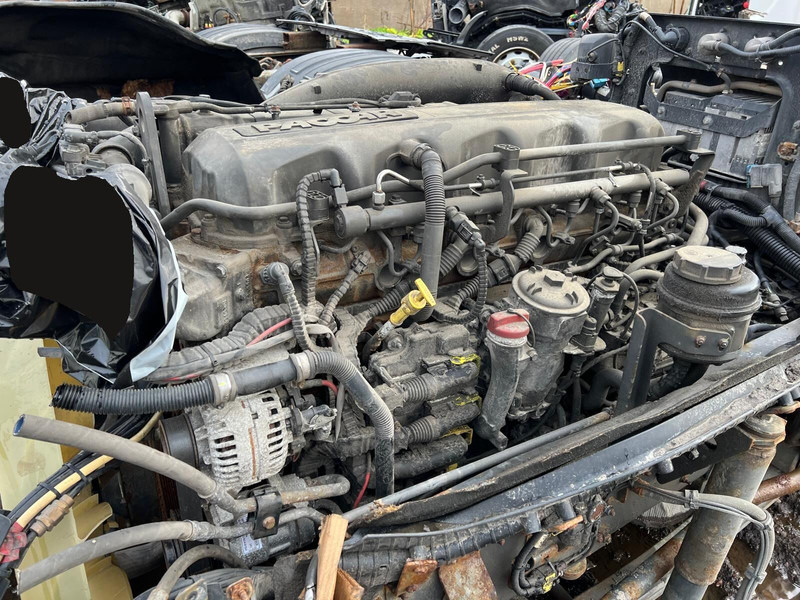 DAF MX13 375 H1 - Moteur: photos 3 DAF MX13 375 H1 - Moteur: photos 3