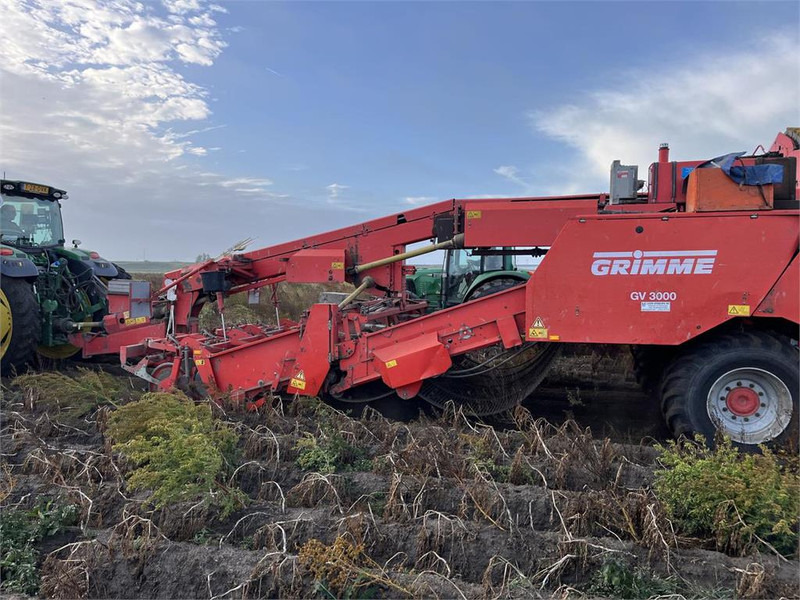 Grimme GV 3000 - Arracheuse de pommes de terre: photos 2 Grimme GV 3000 - Arracheuse de pommes de terre: photos 2