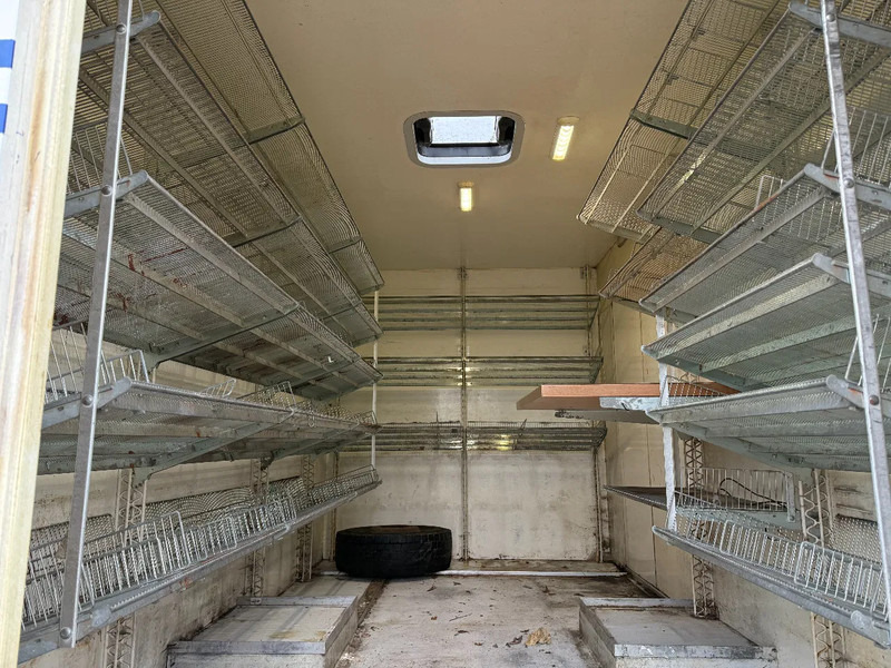 Camion fourgon MAN L20 Bakwagen 4x2 Manual EUR 3 NL TRUCK: photos 18 Camion fourgon MAN L20 Bakwagen 4x2 Manual EUR 3 NL TRUCK: photos 18