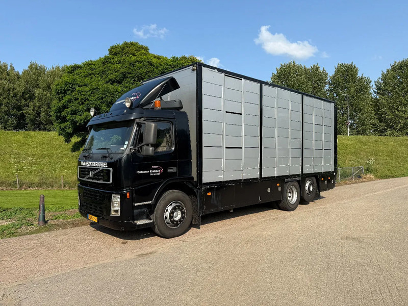 Volvo FM 300 Livestock Cuppers 3 laags 6x2 - Camion bétaillère: photos 3 Volvo FM 300 Livestock Cuppers 3 laags 6x2 - Camion bétaillère: photos 3