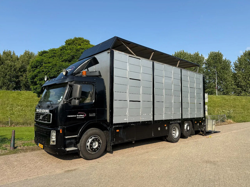 Volvo FM 300 Livestock Cuppers 3 laags 6x2 - Camion bétaillère: photos 1 Volvo FM 300 Livestock Cuppers 3 laags 6x2 - Camion bétaillère: photos 1