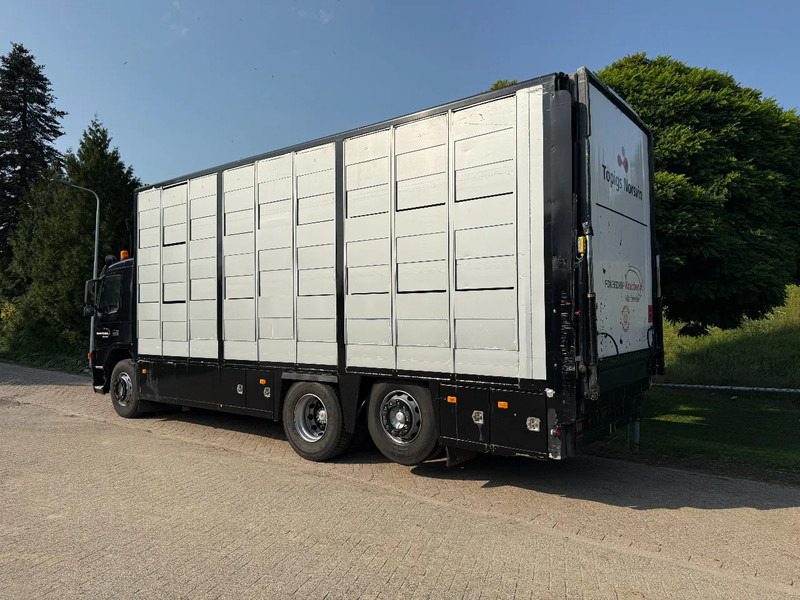 Volvo FM 300 Livestock Cuppers 3 laags 6x2 - Camion bétaillère: photos 5 Volvo FM 300 Livestock Cuppers 3 laags 6x2 - Camion bétaillère: photos 5
