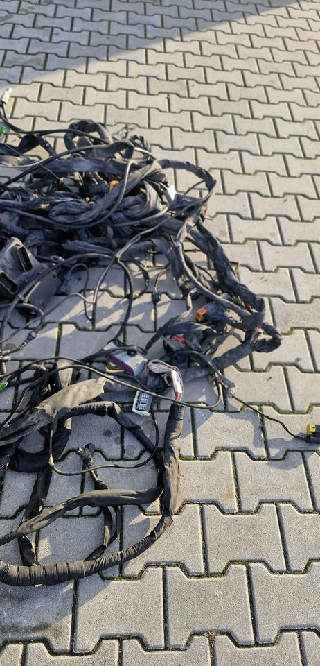 MAN TG3 TGX WIĄZKA ELEKTRYCZNA RAMY - Système électrique: photos 4 MAN TG3 TGX WIĄZKA ELEKTRYCZNA RAMY - Système électrique: photos 4