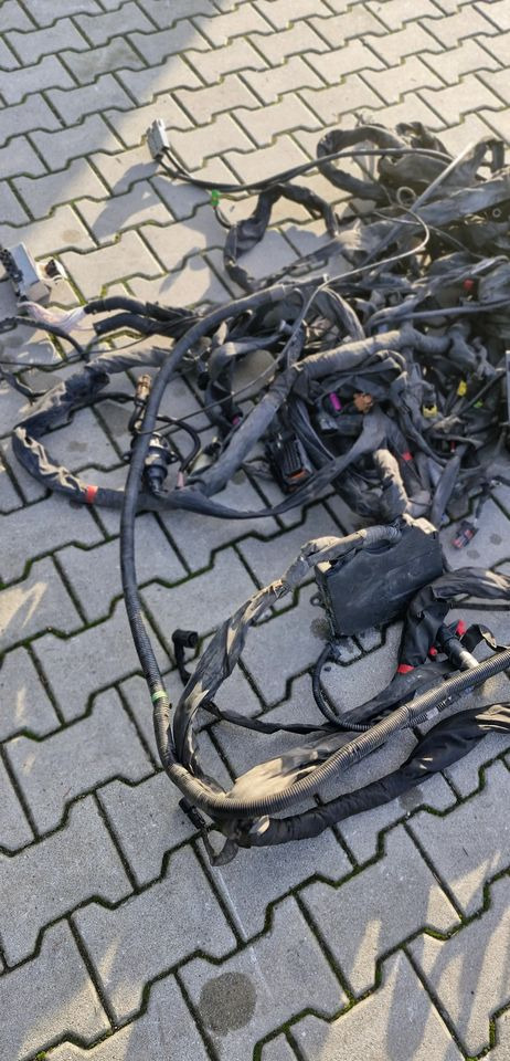 MAN TG3 TGX WIĄZKA ELEKTRYCZNA RAMY - Système électrique: photos 2 MAN TG3 TGX WIĄZKA ELEKTRYCZNA RAMY - Système électrique: photos 2