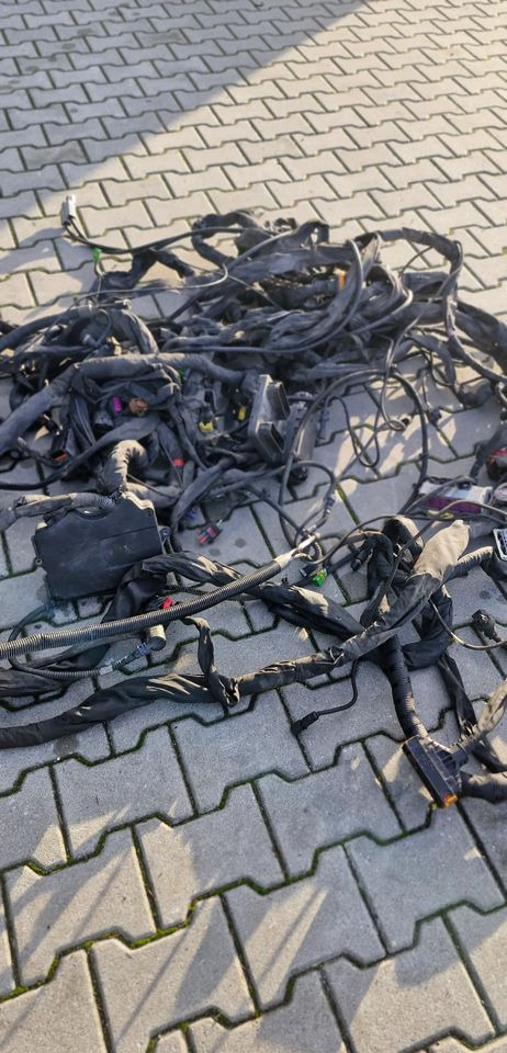 MAN TG3 TGX WIĄZKA ELEKTRYCZNA RAMY - Système électrique: photos 5 MAN TG3 TGX WIĄZKA ELEKTRYCZNA RAMY - Système électrique: photos 5