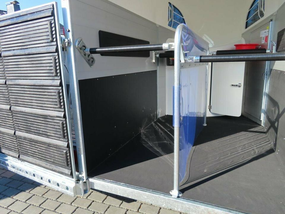 Böckmann, Pferdeanhänger, der neue Big Champion WCF 2025 - Van chevaux: photos 5 Böckmann, Pferdeanhänger, der neue Big Champion WCF 2025 - Van chevaux: photos 5
