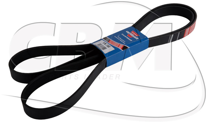 DAYCO BELT - KASSBOHRER DAF IRISBUS - IVECO - RVI (8311000859 | 1518746 | 1160281 | 7701003456) - Courroie pour Bus: photos 1 DAYCO BELT - KASSBOHRER DAF IRISBUS - IVECO - RVI (8311000859 | 1518746 | 1160281 | 7701003456) - Courroie pour Bus: photos 1