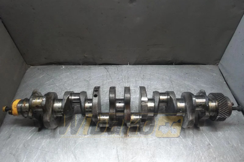 Mitsubishi 6D15 - Vilebrequin pour Engins de chantier: photos 1 Mitsubishi 6D15 - Vilebrequin pour Engins de chantier: photos 1