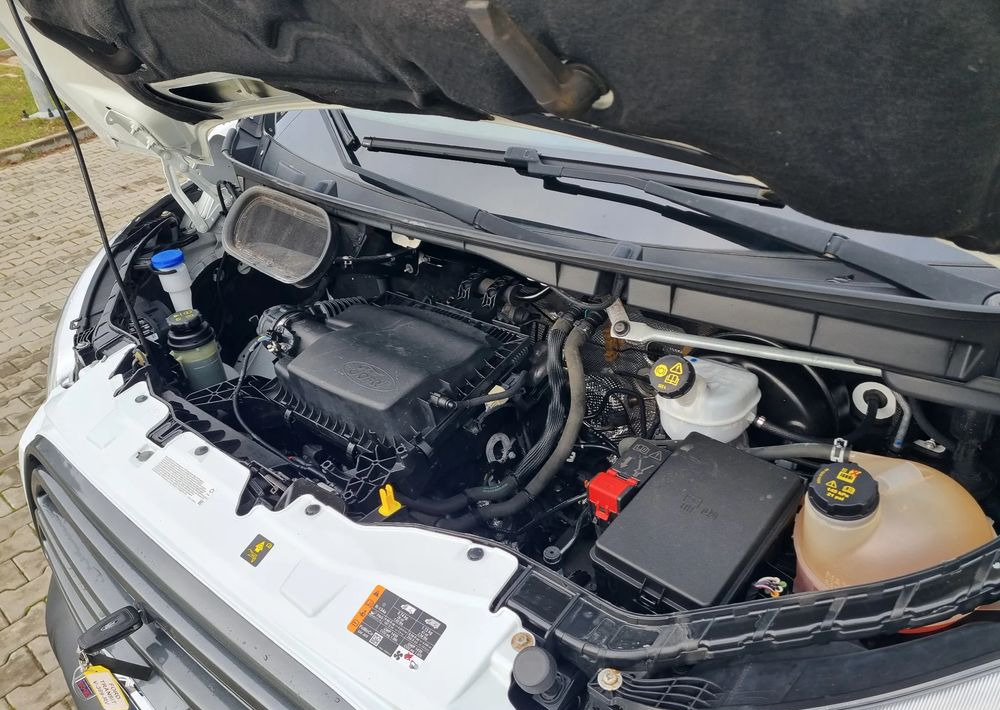 Fourgonnette Ford Transit: photos 22 Fourgonnette Ford Transit: photos 22