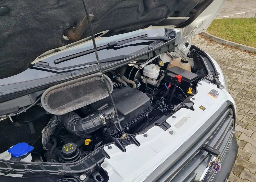 Fourgonnette Ford Transit: photos 23 Fourgonnette Ford Transit: photos 23