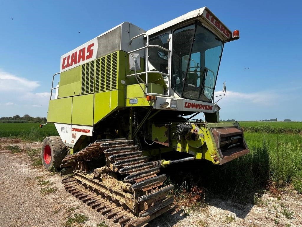 Claas COMMANDOR 116 CS RISO - Moissonneuse-batteuse: photos 1 Claas COMMANDOR 116 CS RISO - Moissonneuse-batteuse: photos 1