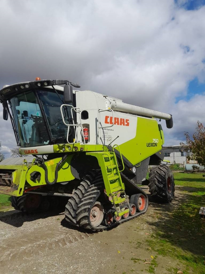 Claas LEXION 750 RISO - Moissonneuse-batteuse: photos 2 Claas LEXION 750 RISO - Moissonneuse-batteuse: photos 2