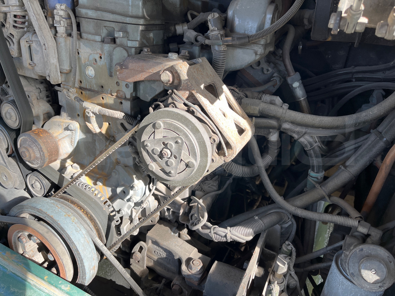 Bus interurbain Iveco Cacciamali: photos 16