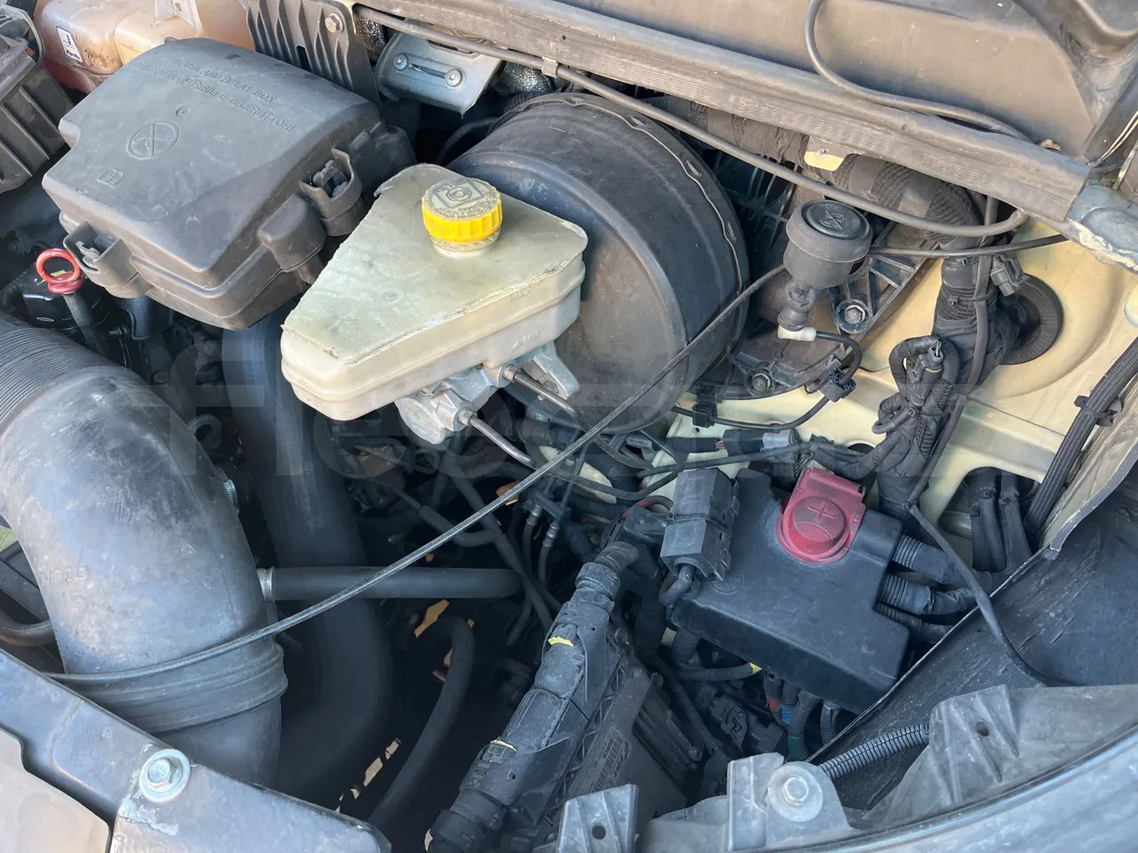 Minibus, Transport de personnes Iveco Daily: photos 22