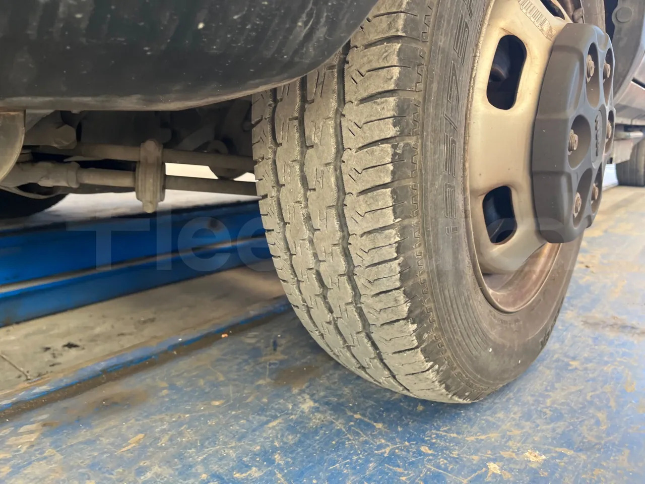 Bus scolaire Iveco Daily: photos 17