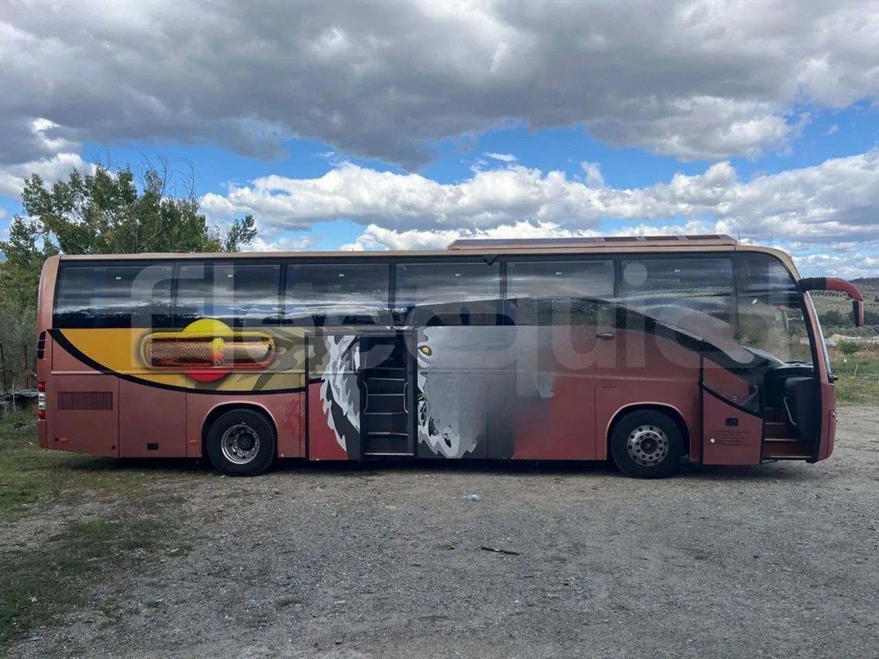 Autocar Volvo 9700: photos 14