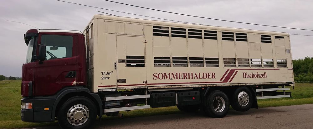 Camion bétaillère Scania 124 420 Do żywca: photos 12 Camion bétaillère Scania 124 420 Do żywca: photos 12