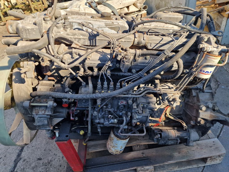 DAF 865 RS200L - Moteur: photos 5 DAF 865 RS200L - Moteur: photos 5