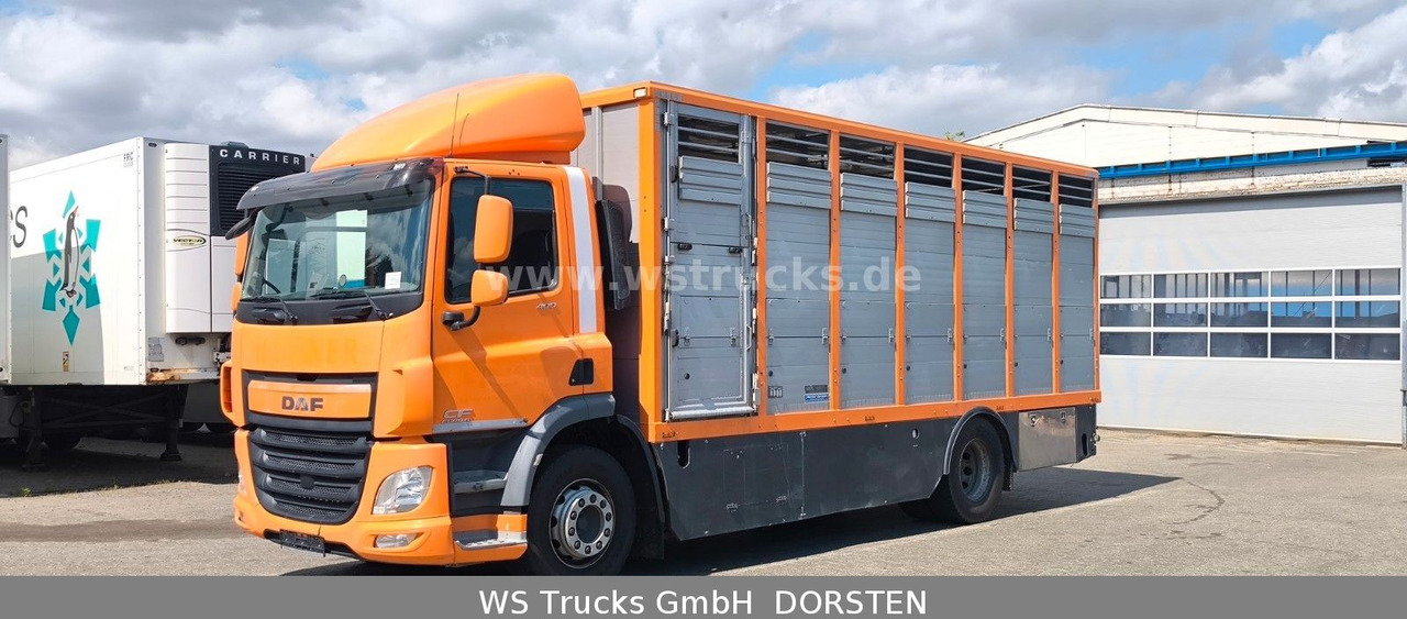 DAF CF 400 Menke Einstock - Camion chevaux: photos 2 DAF CF 400 Menke Einstock - Camion chevaux: photos 2