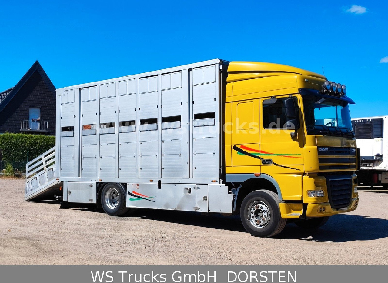 DAF XF 410 SC Menke Doppelstock - Camion chevaux: photos 5 DAF XF 410 SC Menke Doppelstock - Camion chevaux: photos 5