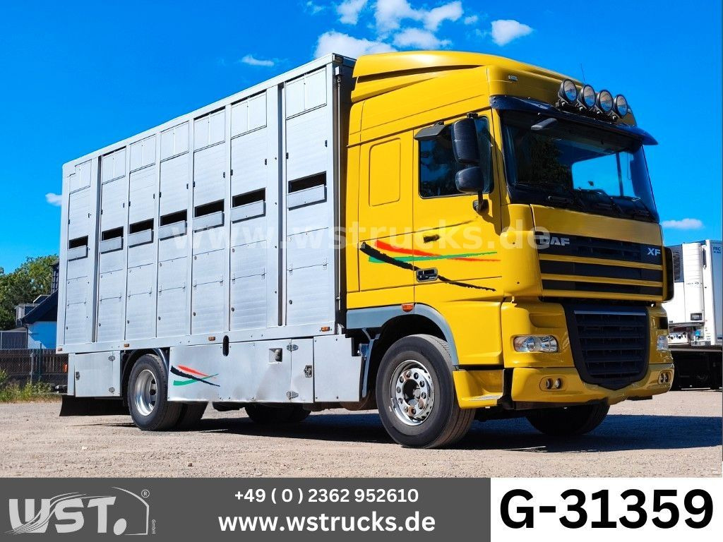 DAF XF 410 SC Menke Doppelstock - Camion chevaux: photos 1 DAF XF 410 SC Menke Doppelstock - Camion chevaux: photos 1