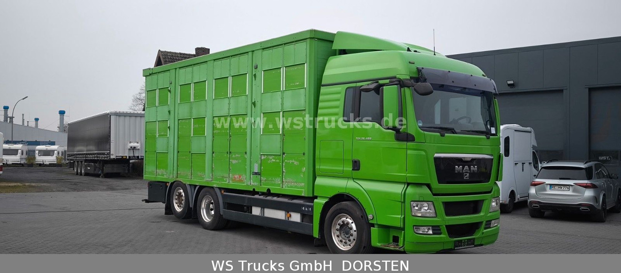 MAN TGX 26.480 XL KABA 3 Stock Vollalu - Camion chevaux: photos 3 MAN TGX 26.480 XL KABA 3 Stock Vollalu - Camion chevaux: photos 3