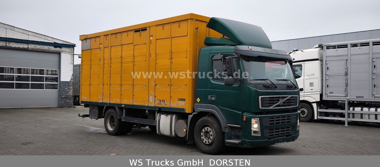 Volvo FM 260 mit KABA 2 Stock Vollalu Viehtransporter - Camion chevaux: photos 3 Volvo FM 260 mit KABA 2 Stock Vollalu Viehtransporter - Camion chevaux: photos 3