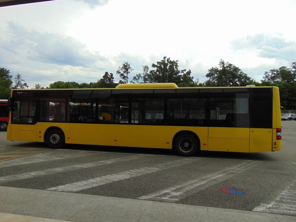 N.1 MAN LION’S CITY A37 LF – Anno 2012 - Bus urbain: photos 4 N.1 MAN LION’S CITY A37 LF – Anno 2012 - Bus urbain: photos 4