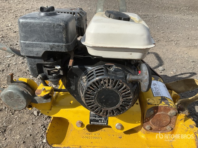 2019 Wacker Neuson VP1135A Vibratory Plate Compactor - Plaque vibrante: photos 5 2019 Wacker Neuson VP1135A Vibratory Plate Compactor - Plaque vibrante: photos 5