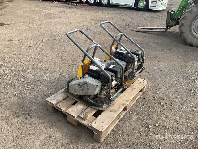Wacker Neuson Vibratory Plate Compactor - Plaque vibrante: photos 2 Wacker Neuson Vibratory Plate Compactor - Plaque vibrante: photos 2