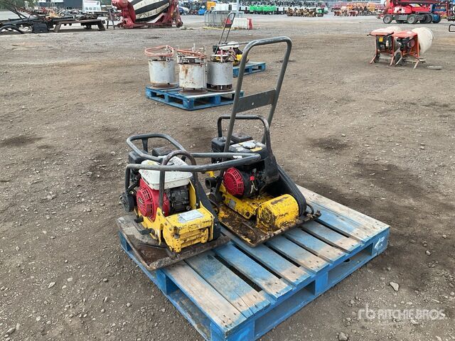 Wacker Neuson Vibratory Plate Compactor - Plaque vibrante: photos 2 Wacker Neuson Vibratory Plate Compactor - Plaque vibrante: photos 2