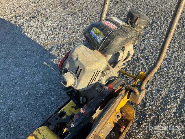 Wacker Neuson Vibratory Plate Compactor - Plaque vibrante: photos 4 Wacker Neuson Vibratory Plate Compactor - Plaque vibrante: photos 4