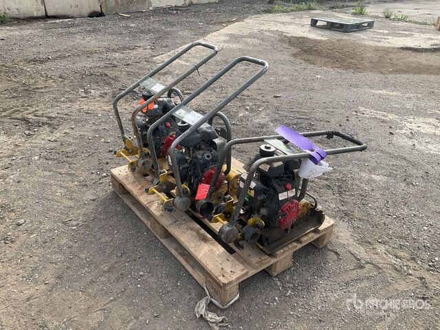 Wacker Neuson Vibratory Plate Compactor - Plaque vibrante: photos 3 Wacker Neuson Vibratory Plate Compactor - Plaque vibrante: photos 3