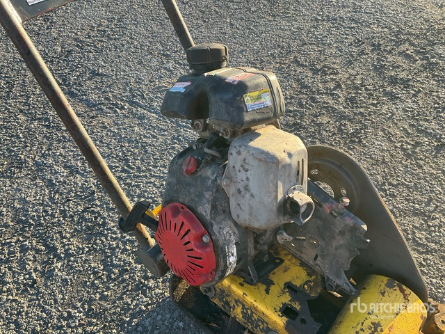 Wacker Neuson Vibratory Plate Compactor - Plaque vibrante: photos 5 Wacker Neuson Vibratory Plate Compactor - Plaque vibrante: photos 5