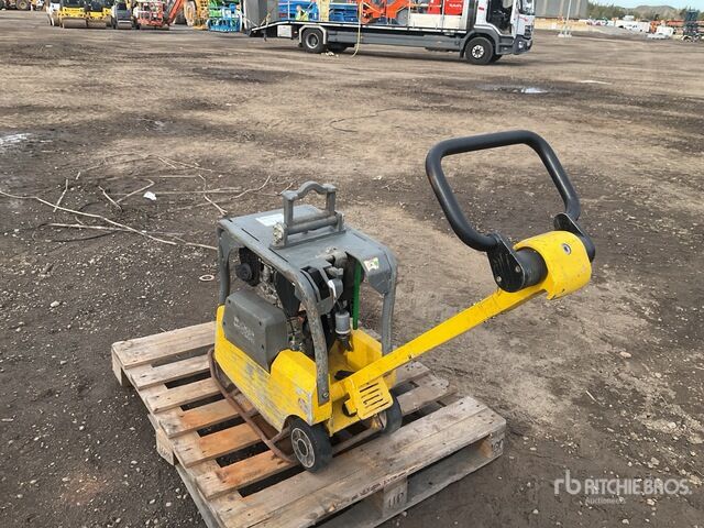 Wacker Neuson Vibratory Plate Compactor - Plaque vibrante: photos 2 Wacker Neuson Vibratory Plate Compactor - Plaque vibrante: photos 2