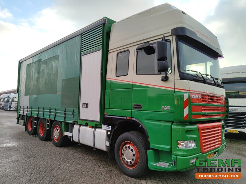 DAF FAK XF95.430 8x2 Super SuperSpaceCab Euro3 - CurtainSider 7.31m + Ramp 16T - MachineTransporter - 6 Persons (V558) - Camion porte-voitures: photos 3 DAF FAK XF95.430 8x2 Super SuperSpaceCab Euro3 - CurtainSider 7.31m + Ramp 16T - MachineTransporter - 6 Persons (V558) - Camion porte-voitures: photos 3
