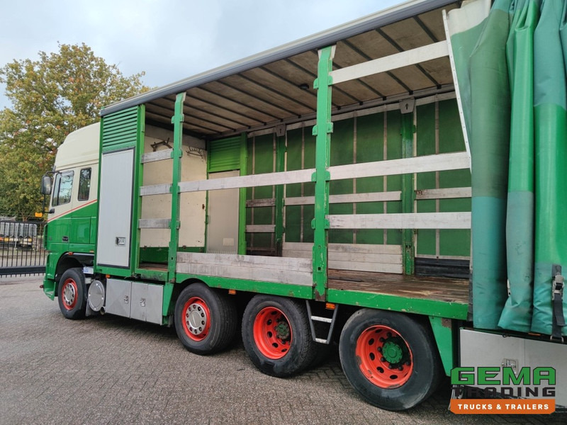 Camion porte-voitures DAF FAK XF95.430 8x2 Super SuperSpaceCab Euro3 - CurtainSider 7.31m + Ramp 16T - MachineTransporter - 6 Persons  (V558): photos 20