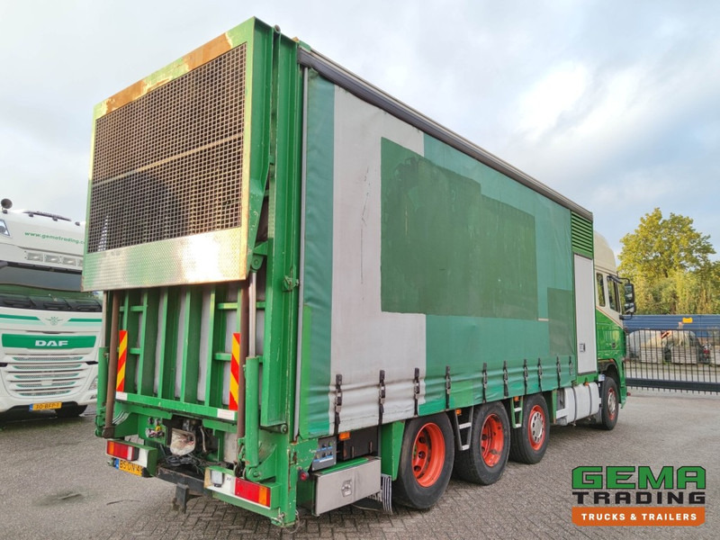 DAF FAK XF95.430 8x2 Super spacecab Euro3 - CurtainSider 7.31m + Ramp 16T - MachineTransporter - 6 Persons (V558) - Camion porte-voitures: photos 4 DAF FAK XF95.430 8x2 Super spacecab Euro3 - CurtainSider 7.31m + Ramp 16T - MachineTransporter - 6 Persons (V558) - Camion porte-voitures: photos 4