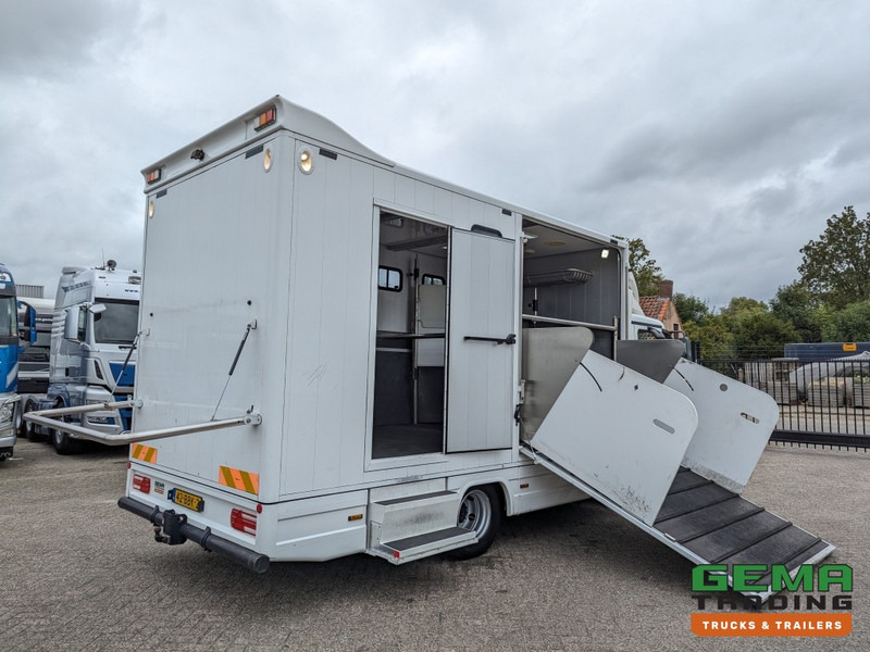 MAN TGL 12.250 4x2 Euro5 EEV RC HorseTruck - 2a3 Paards - 135.000km - MARGE (V821) - Camion chevaux: photos 1 MAN TGL 12.250 4x2 Euro5 EEV RC HorseTruck - 2a3 Paards - 135.000km - MARGE (V821) - Camion chevaux: photos 1