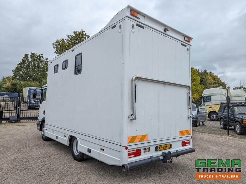 MAN TGL 12.250 4x2 Euro5 EEV RC HorseTruck - 2a3 Paards - 135.000km - MARGE (V821) - Camion chevaux: photos 4 MAN TGL 12.250 4x2 Euro5 EEV RC HorseTruck - 2a3 Paards - 135.000km - MARGE (V821) - Camion chevaux: photos 4