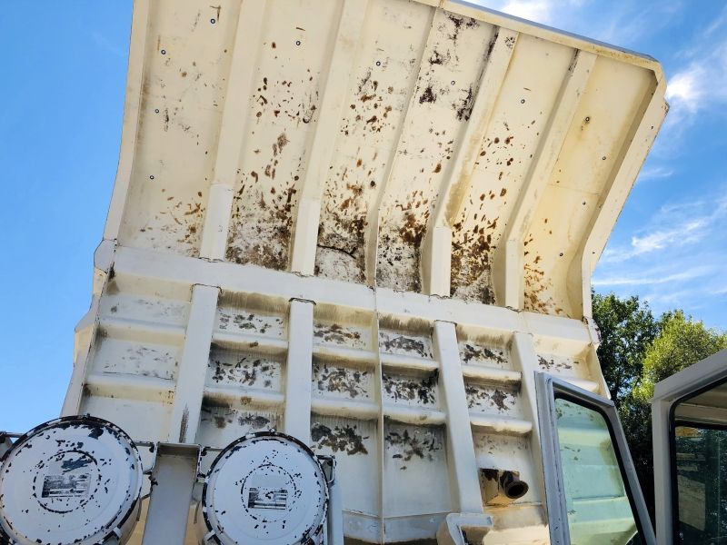 Perlini DP 655B (2965) - Tombereau rigide: photos 5 Perlini DP 655B (2965) - Tombereau rigide: photos 5