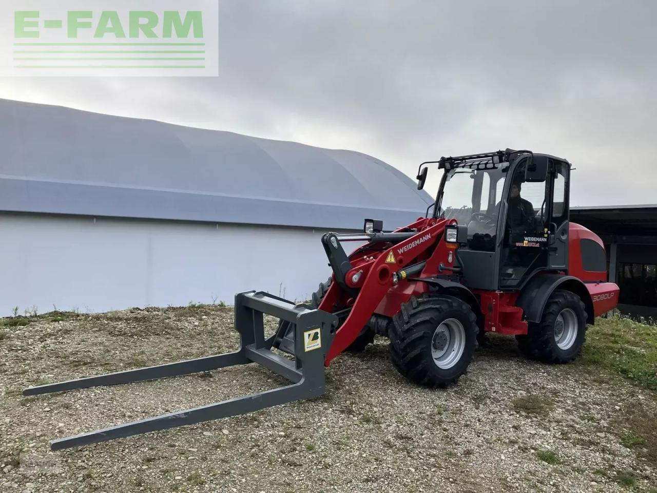 Weidemann 3080lp für geflügelkistengabel sofort verfügbar - Chargeuse sur pneus: photos 1 Weidemann 3080lp für geflügelkistengabel sofort verfügbar - Chargeuse sur pneus: photos 1