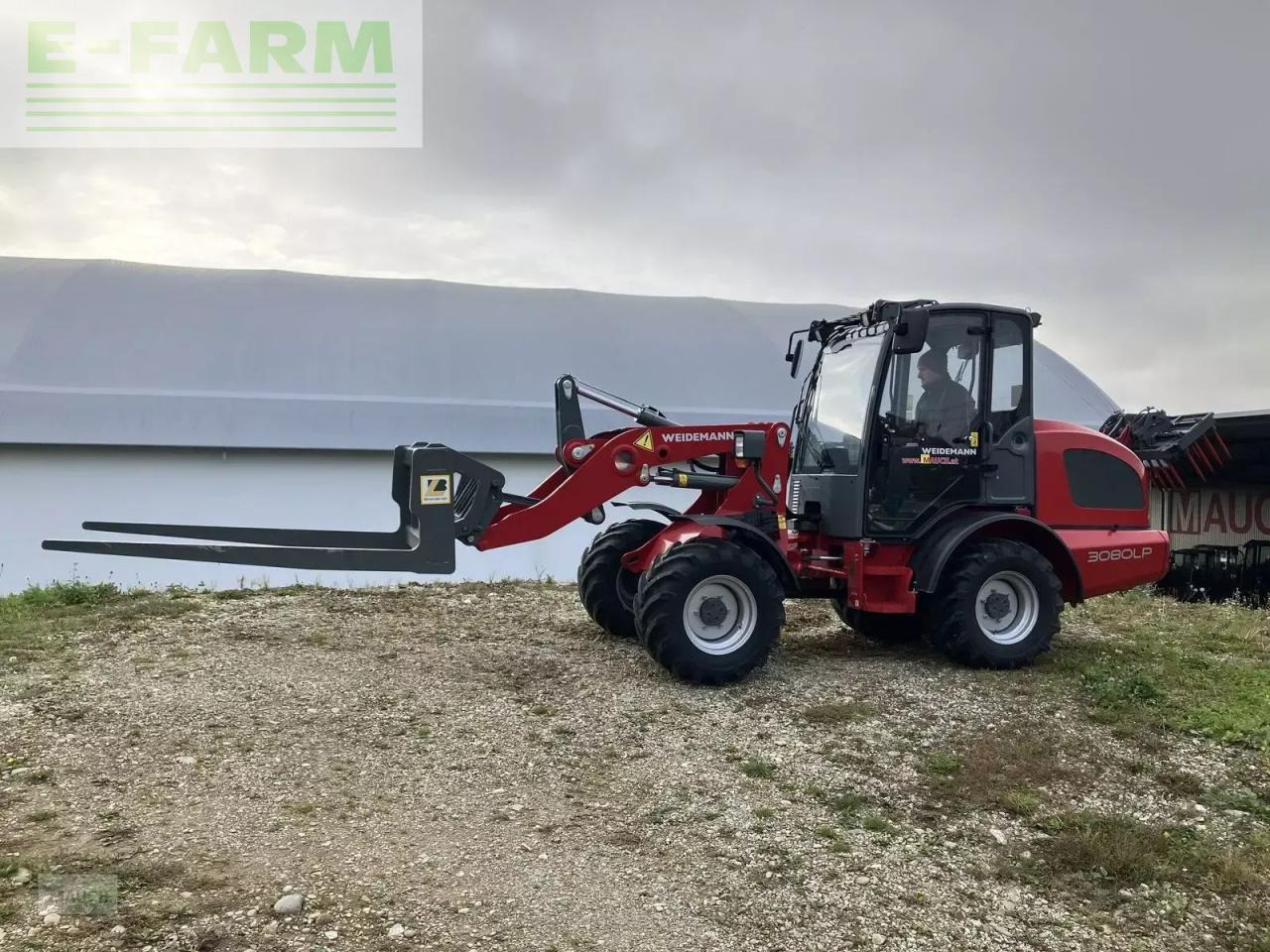Weidemann 3080lp für geflügelkistengabel sofort verfügbar - Chargeuse sur pneus: photos 2 Weidemann 3080lp für geflügelkistengabel sofort verfügbar - Chargeuse sur pneus: photos 2