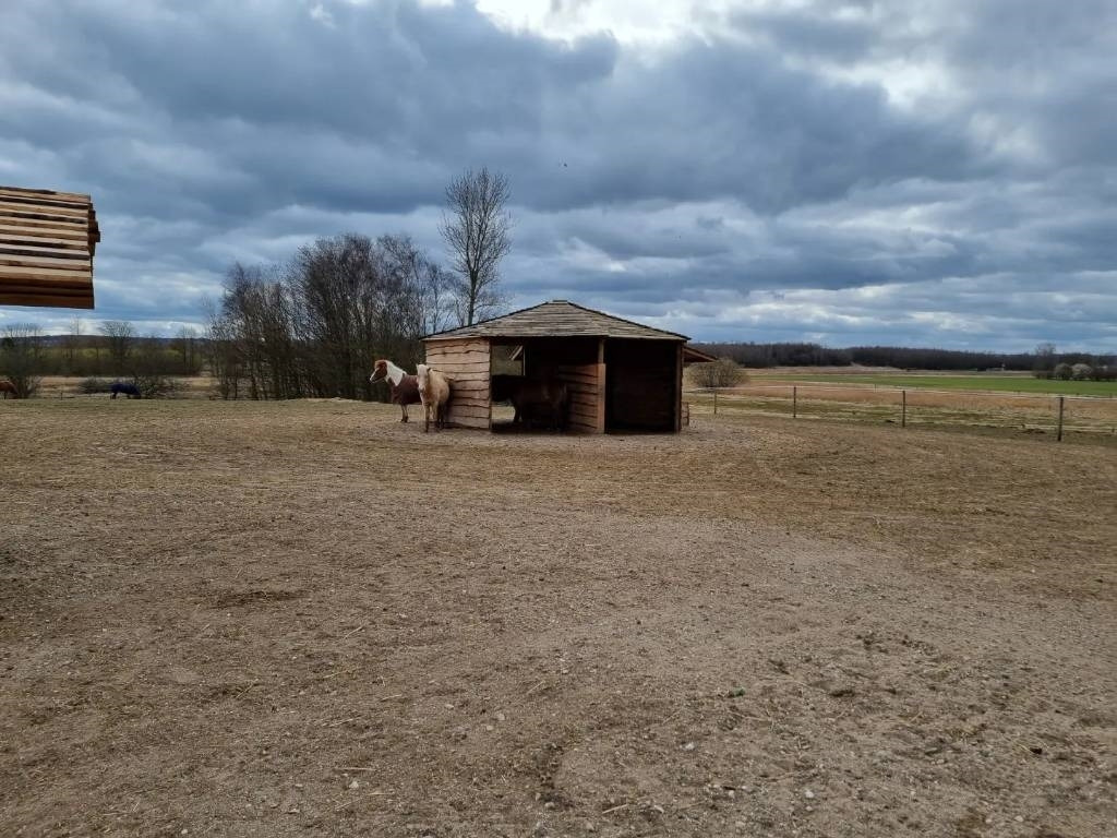 Pomi Hestepæreopsamler - Véhicule de voirie/ Spécial: photos 5 Pomi Hestepæreopsamler - Véhicule de voirie/ Spécial: photos 5