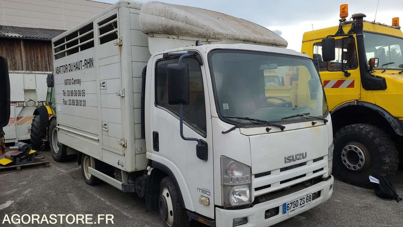 Bétaillère abattoir ISUZU - 2008 - Camion bétaillère: photos 2 Bétaillère abattoir ISUZU - 2008 - Camion bétaillère: photos 2